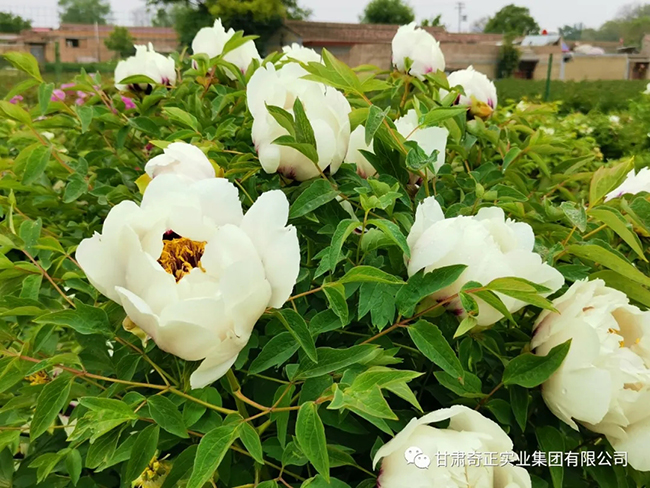 2028体育_网站首页登录注册