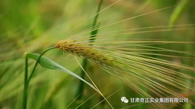 2028体育_网站首页登录注册