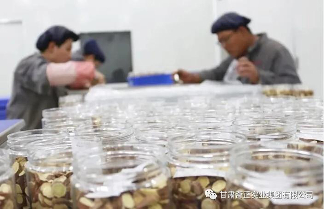 2028体育_网站首页登录注册