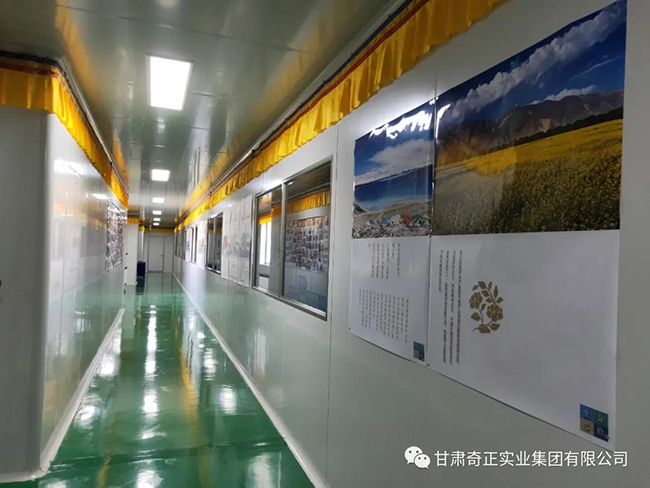 2028体育_网站首页登录注册