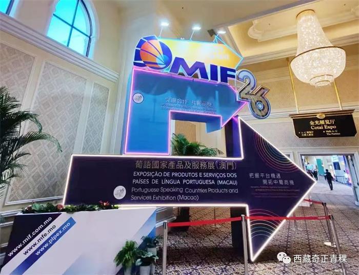 2028体育_网站首页登录注册