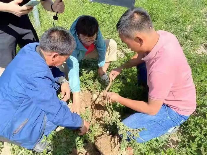 2028体育_网站首页登录注册