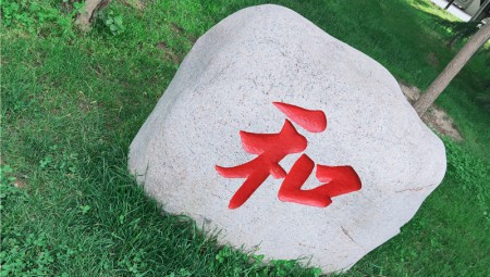 2028·体育官网健康厂区一角