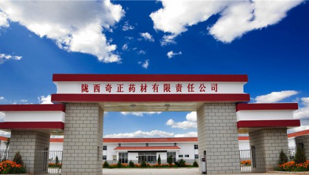 陇西2028·体育官网
