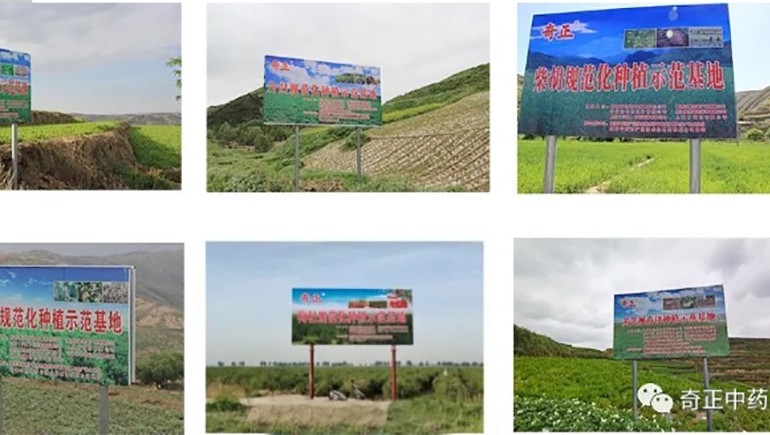 陇西2028·体育官网药材有限责任公司入选第一批国度中药材尺度化与质量评估创新联盟GAP重点造就单元