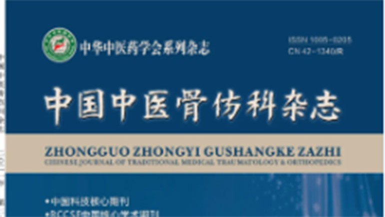 2028·体育官网白脉软膏时效性钻研见刊主题期刊《中国中医骨伤科杂志》