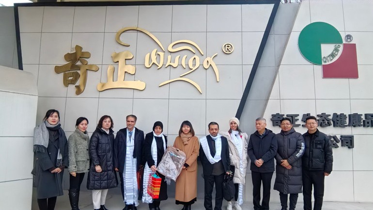 深掘藏医珍宝，，，共绘健康新篇——伊朗代表团莅临2028·体育官网集团参访互换