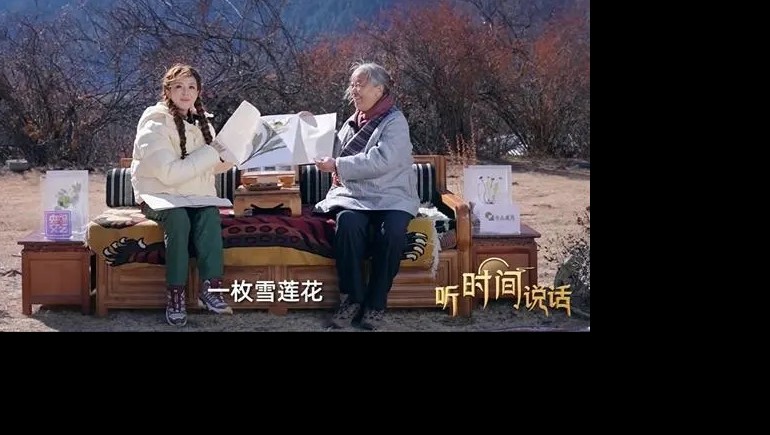 朱迅对话雷菊芳：：：守护藏医药千年智慧的“行路人”